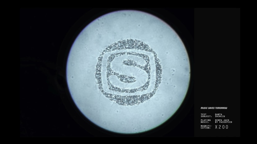 SPERM VISUALIZER