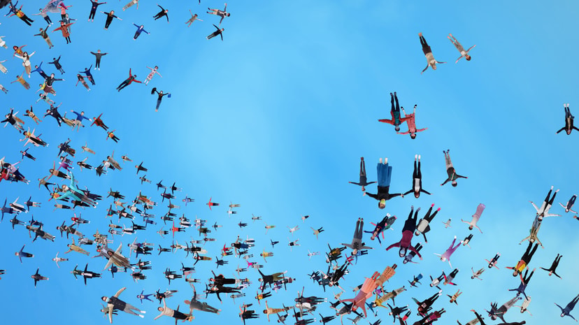 deTour “FLOCK”