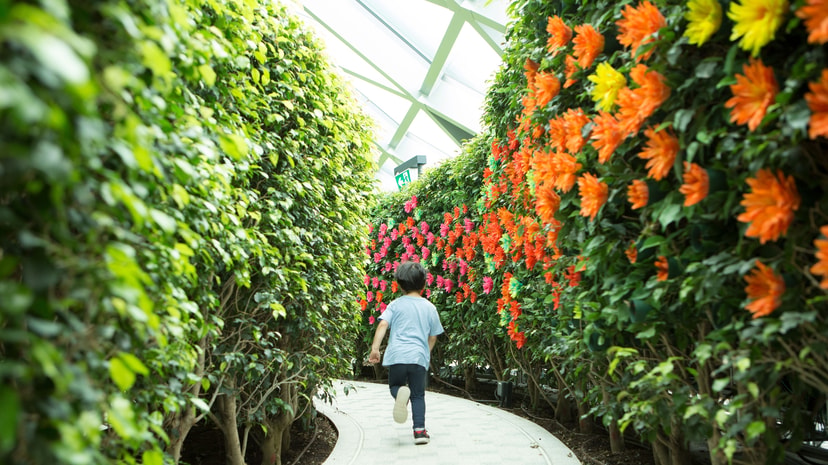 Jewel Changi Airport “Blooming Passage”